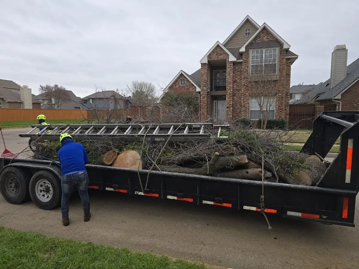 Expert Tree Pest Control with proper safety equipment in Lawtell